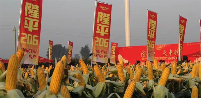 1652939499121686.jpg 101.jpg